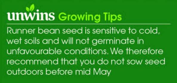 Runner Bean Moonlight Seeds Unwins Growing Tips